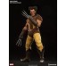 Wolverine Sixth Scale Figure - Marvel Comics - Sideshow